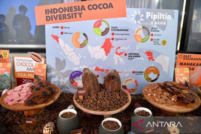 Bisnis Ekspor Produk Lokal dari Wilayah Tertinggal
