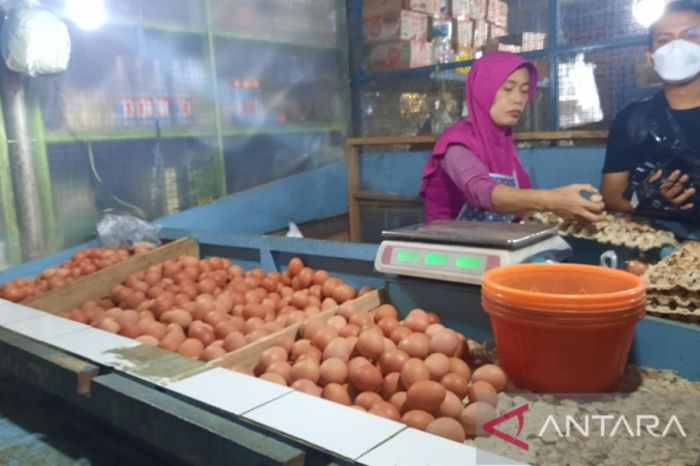 Harga Bahan Pokok Hari Ini di Pasar Tradisional